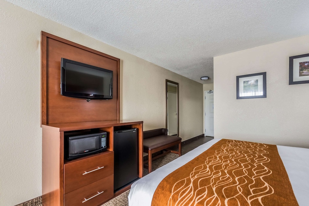 Room, 1 King Bed, Accessible, Non Smoking photo 3