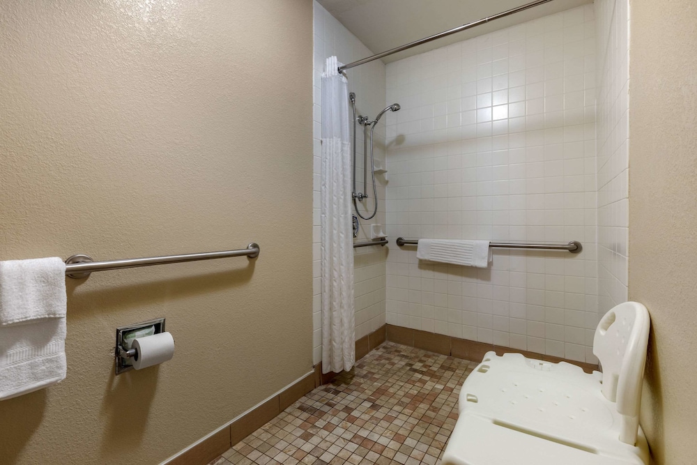 Suite, 1 King Bed, Accessible, Roll-in Shower, Non Smoking - Photo 6