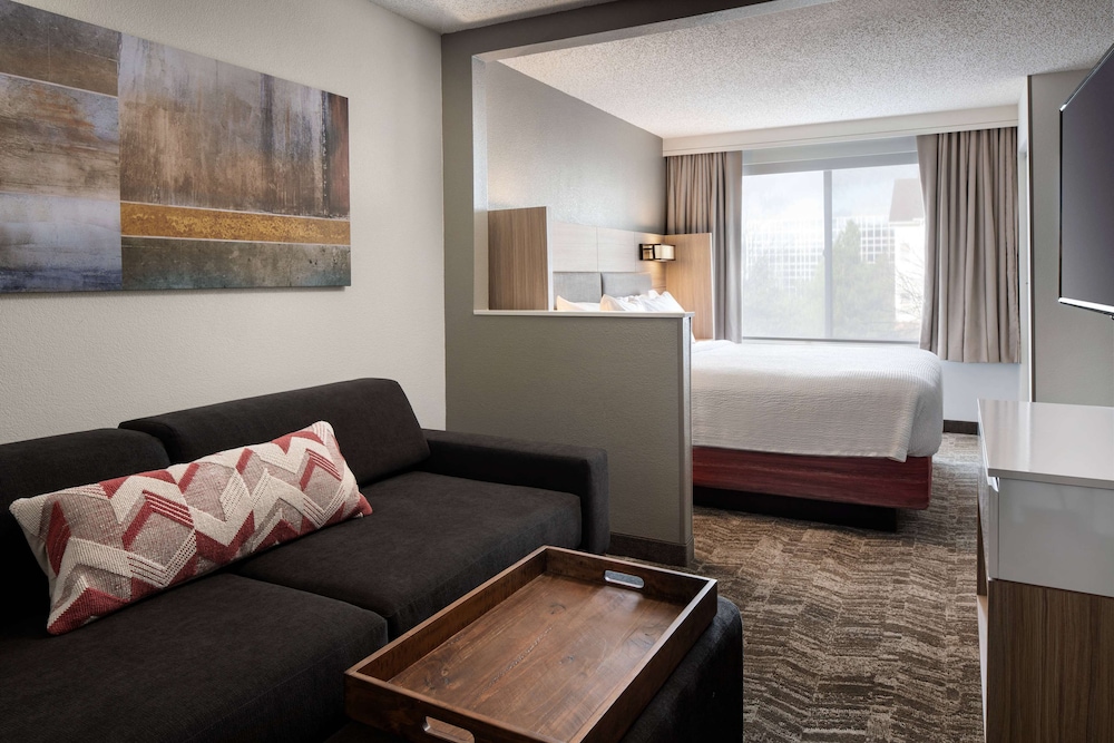 Suite, 1 King Bed with Sofa bed