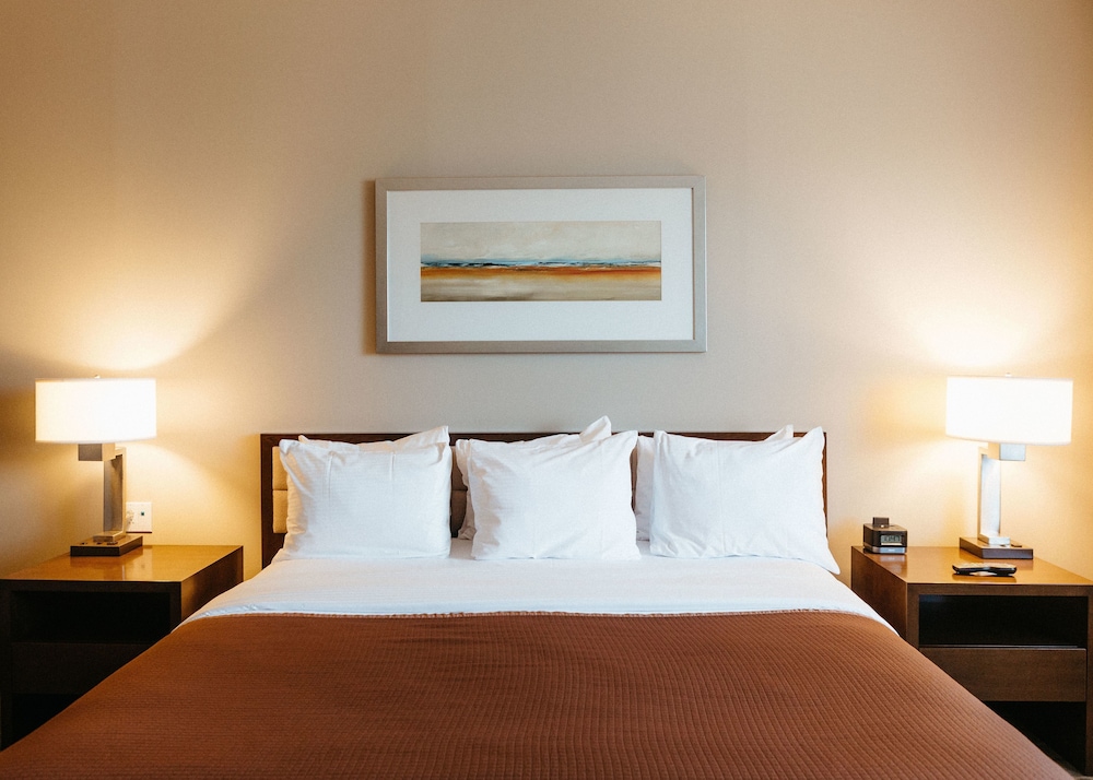 Suite, 1 Bedroom - Photo 3