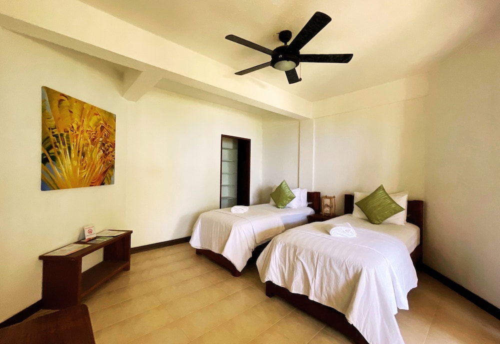 Deluxe Twin Room photo 2