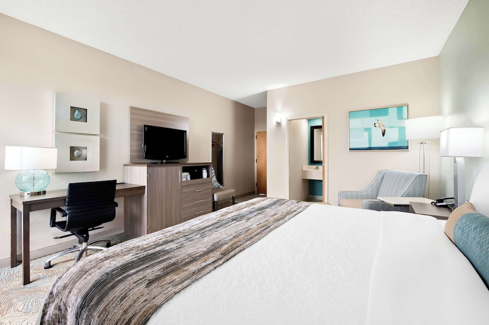 Standard Room, 1 King Bed, Non Smoking, Refrigerator photo 3