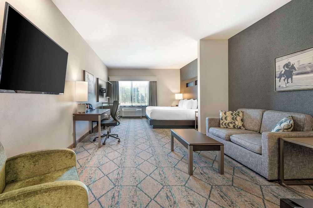 Standard Suite, 1 King Bed, Non Smoking (Kitchenette) - Photo 2