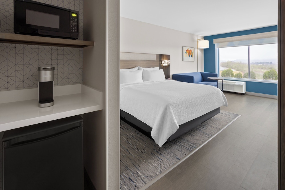Room, 1 King Bed with Sofa bed (Walk-In Shower)
