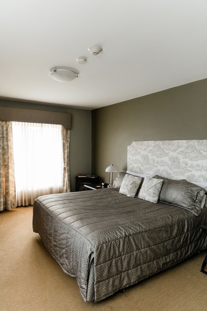 Suite, 1 King Bed photo 3