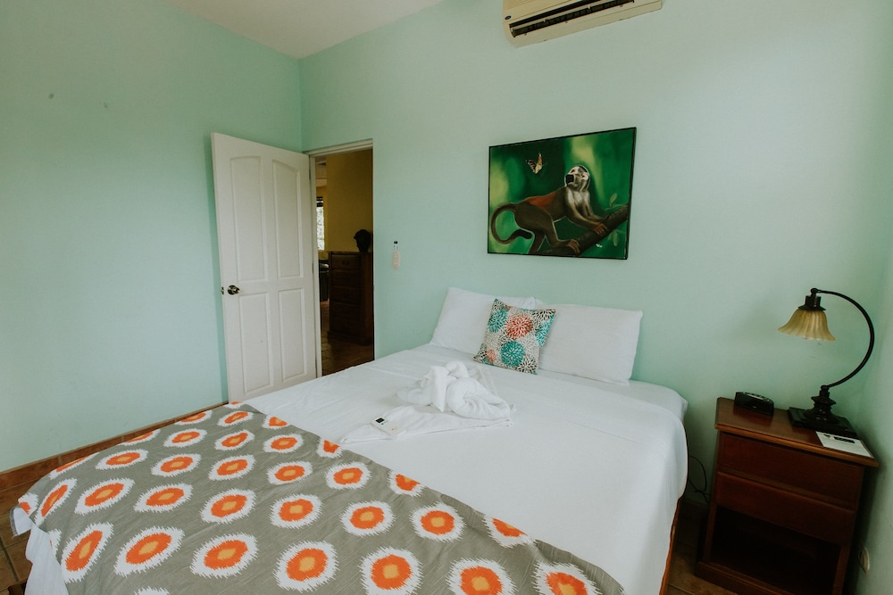 Ara Macao House photo 2
