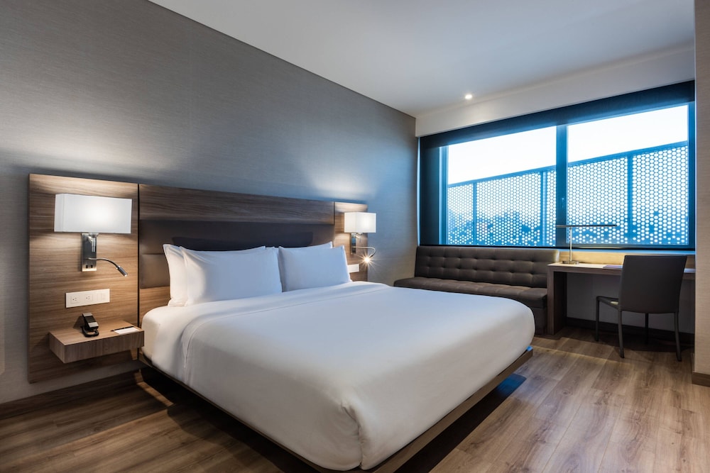 Grand Room, 1 King Bed photo 2