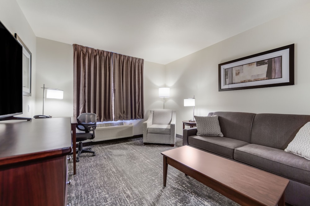 Suite, 1 King Bed with Sofa bed, Accessible, Non Smoking (Audible/Visual Alert) - Photo 3