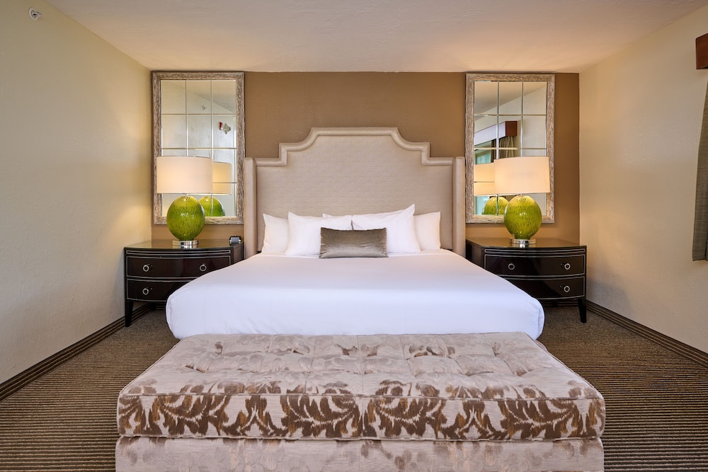 Studio Suite, 1 King Bed photo 2