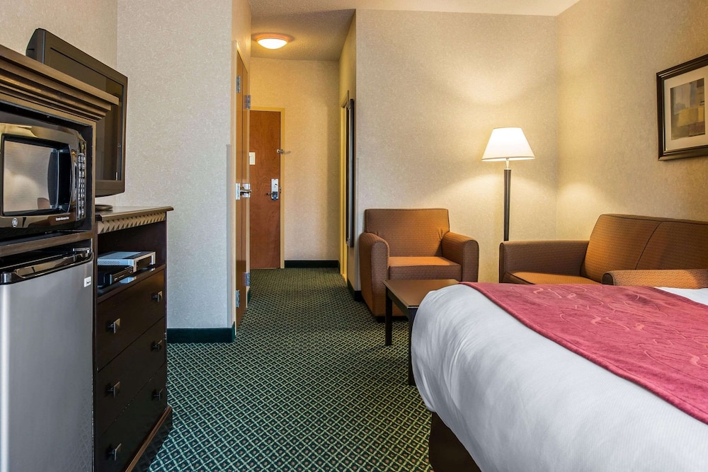Suite, 1 King Bed - Photo 8