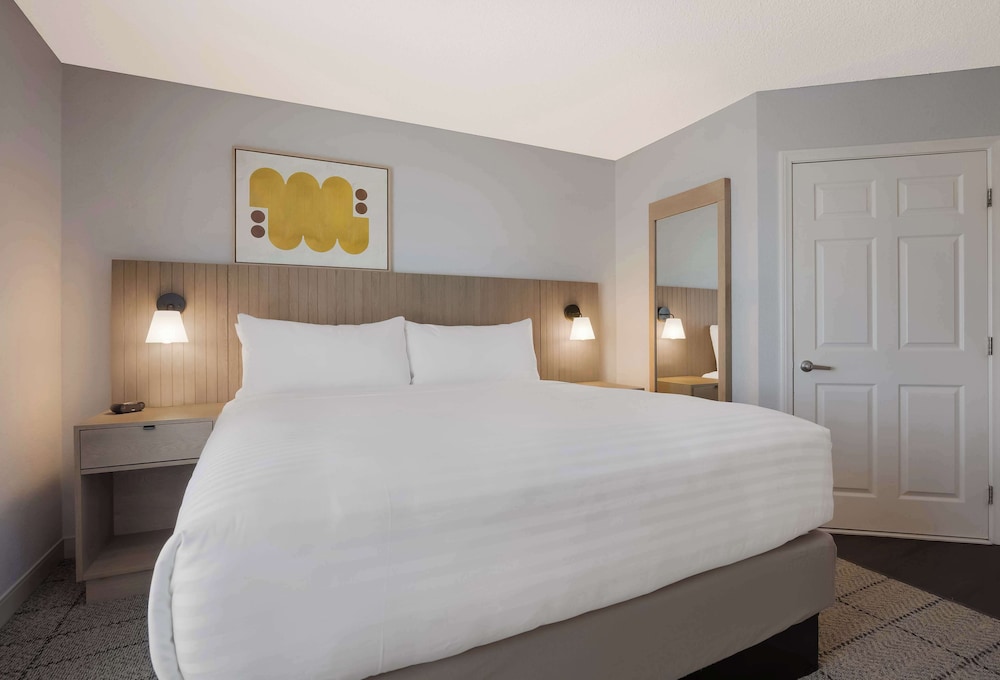 Studio Suite, 1 King Bed - Photo 2