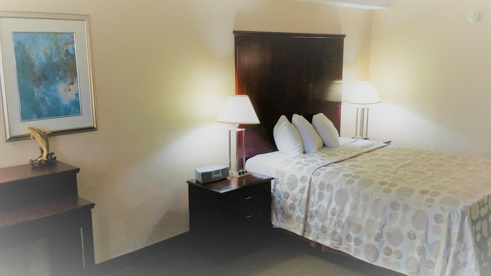 Business Room, 1 Queen Bed, Non Smoking photo 3