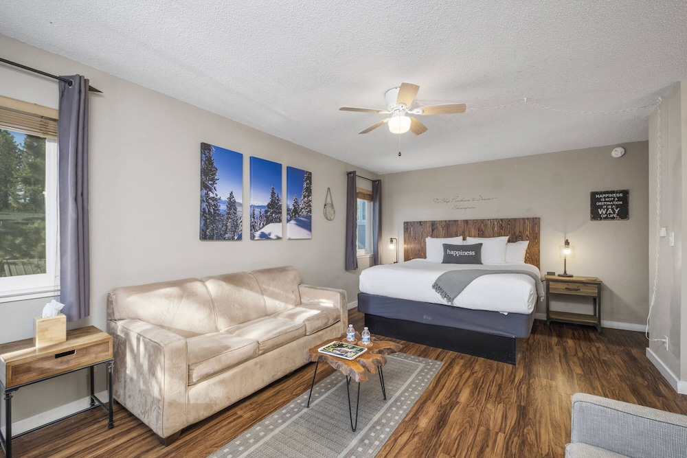 Suite, 1 King Bed