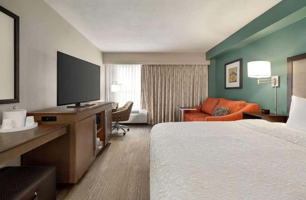 Room, 1 King Bed with Sofa bed - Photo 4