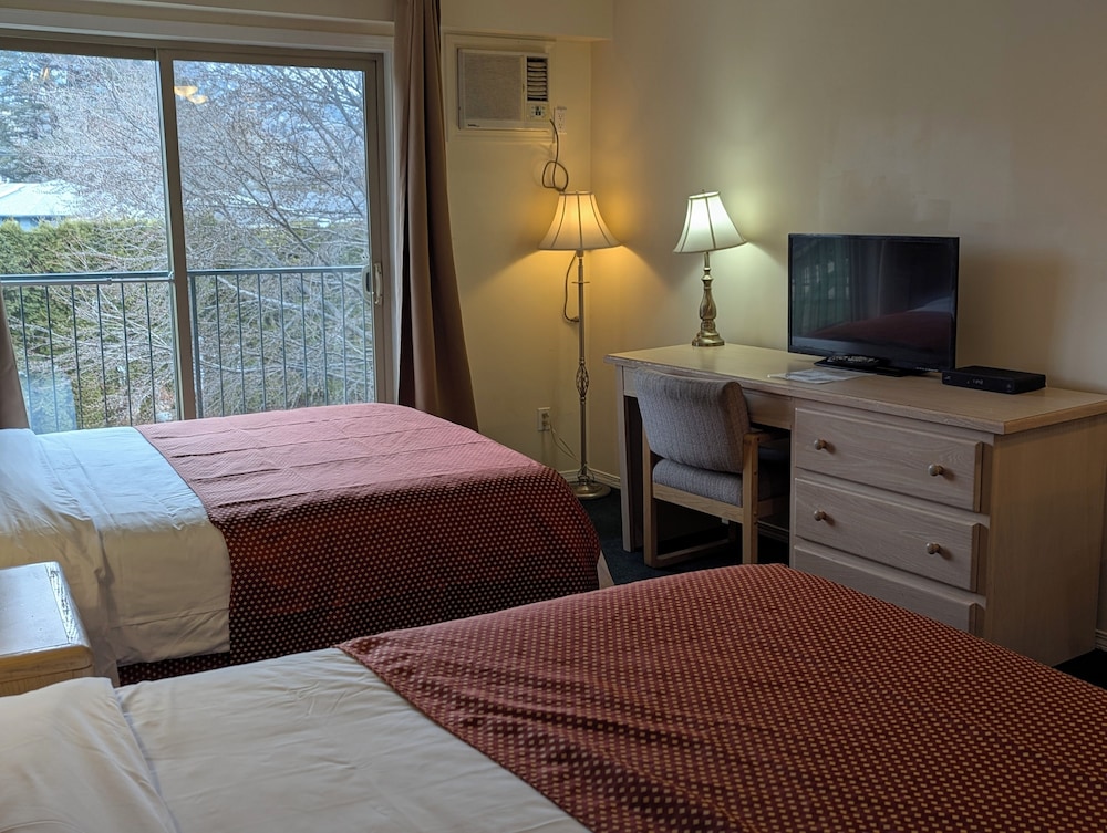 Twin Room photo 3