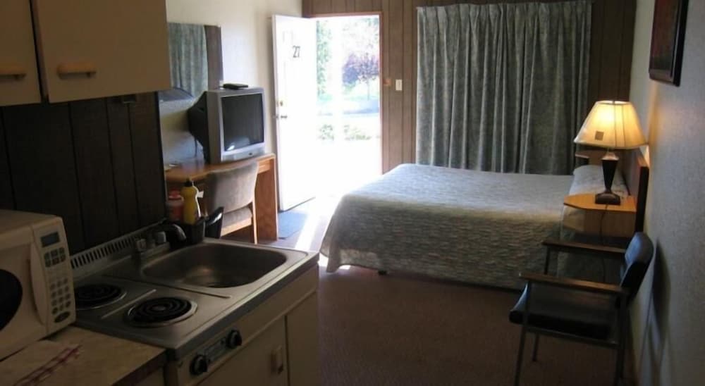 Deluxe Suite, 1 Queen Bed photo 3
