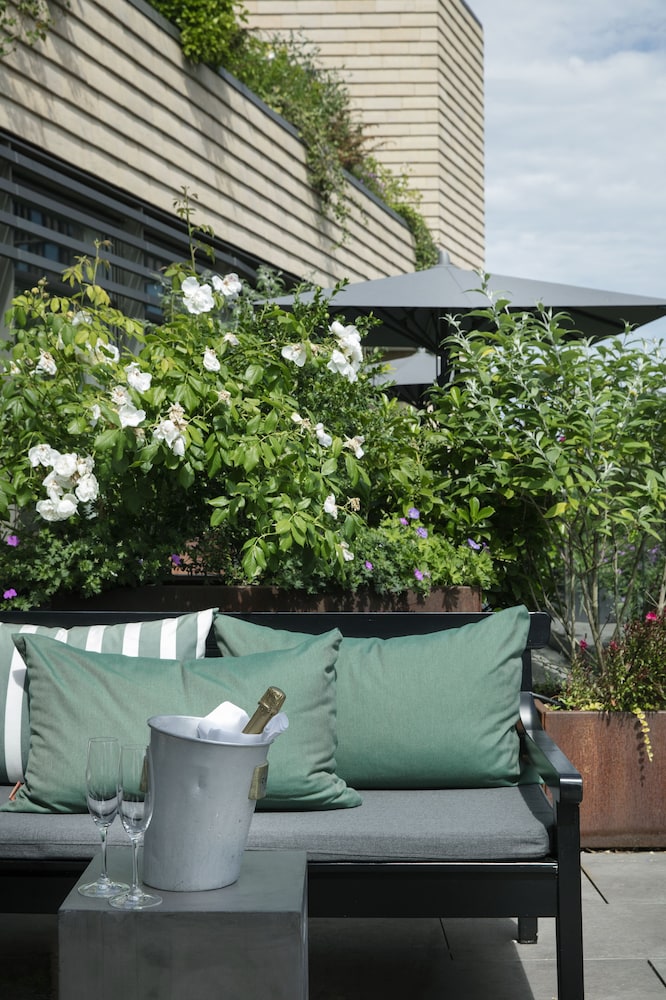 Deluxe Room, Terrace