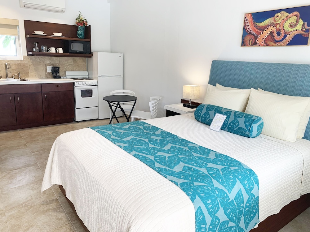 Studio, 1 Queen Bed, Kitchen photo 2