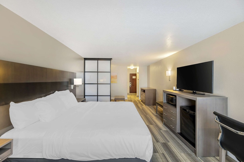 Suite, 1 King Bed with Sofa bed, Non Smoking (Upgrade) - Photo 1