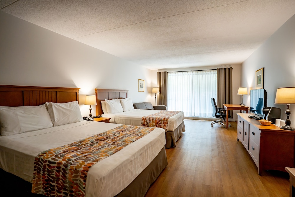 Comfort plus room - main pavilion