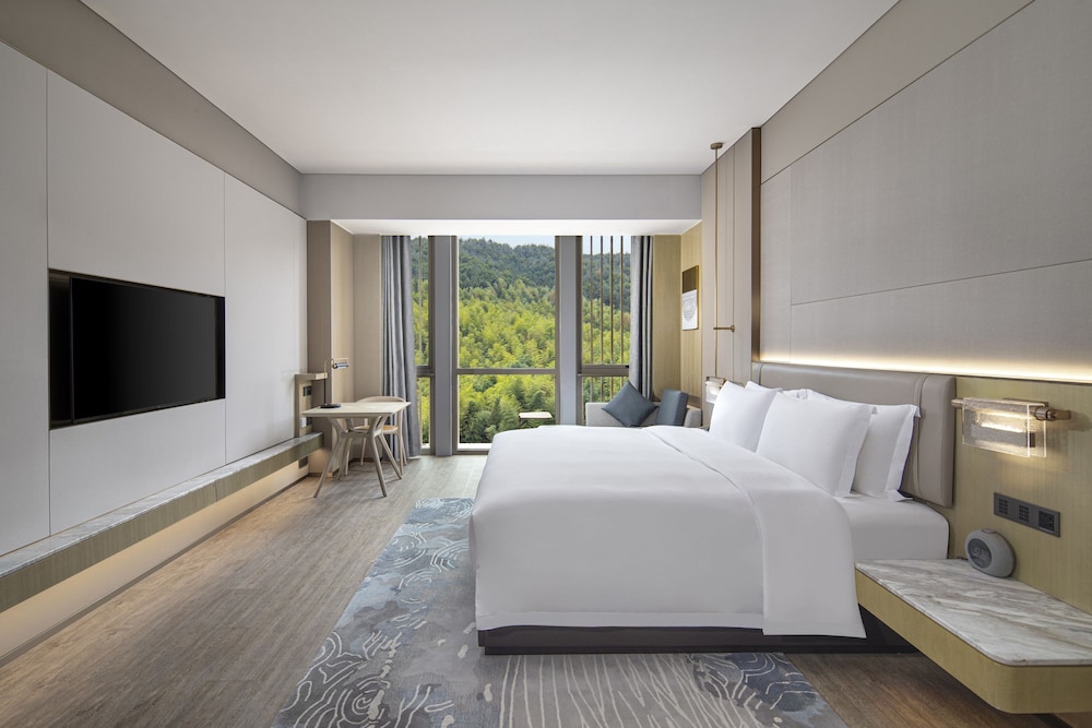 Deluxe Mountain View King Room