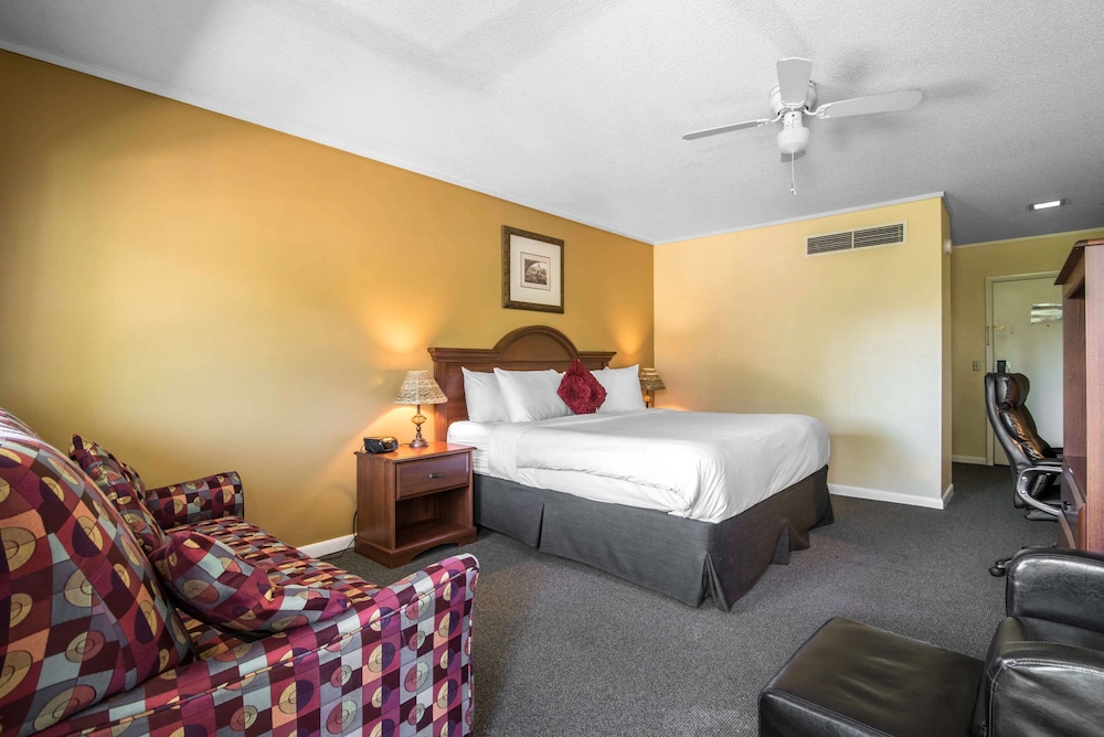 Suite, 1 King Bed With Sofa Bed, Non Smoking (2 Person Sofa Bed) photo 3