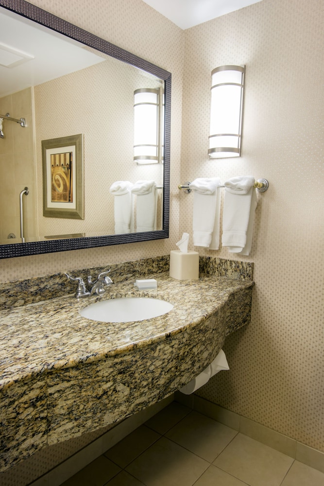 Suite, 1 King Bed, Accessible - Photo 6