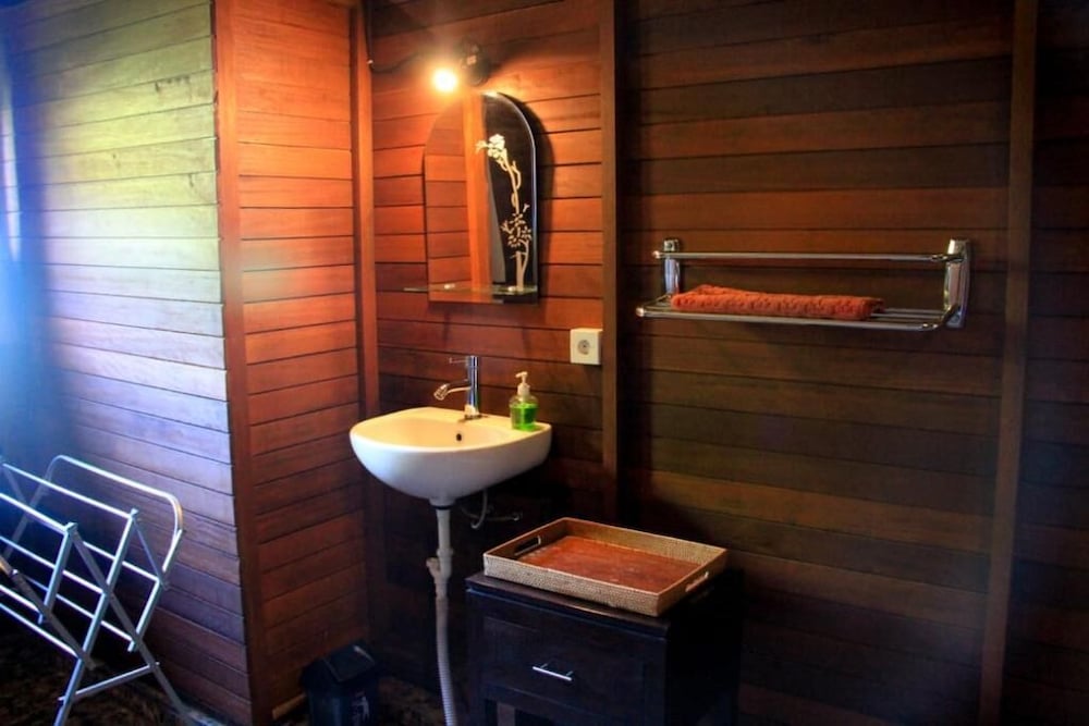 Deluxe Double Room, 1 Bedroom, Balcony, Mountain View photo 3