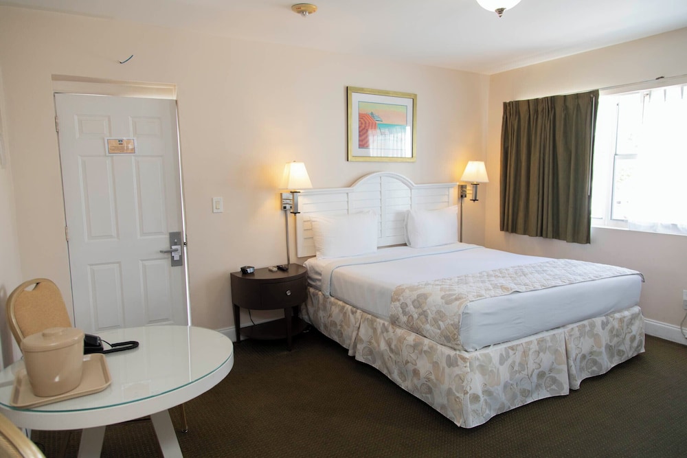 Deluxe Room, 1 King Bed, Kitchenette - Photo 9