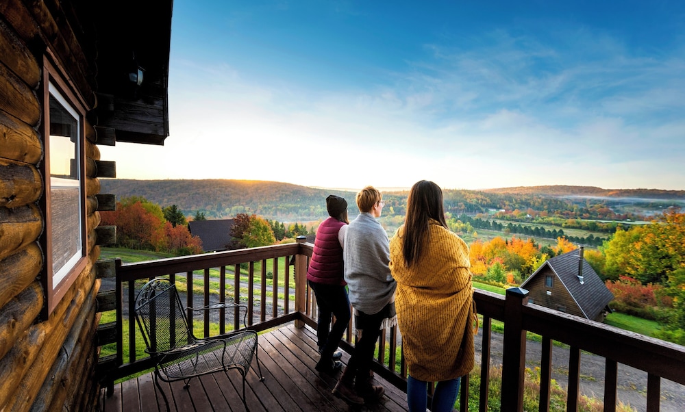 Comfort Cabin, 2 Bedrooms, Mountain View photo 2