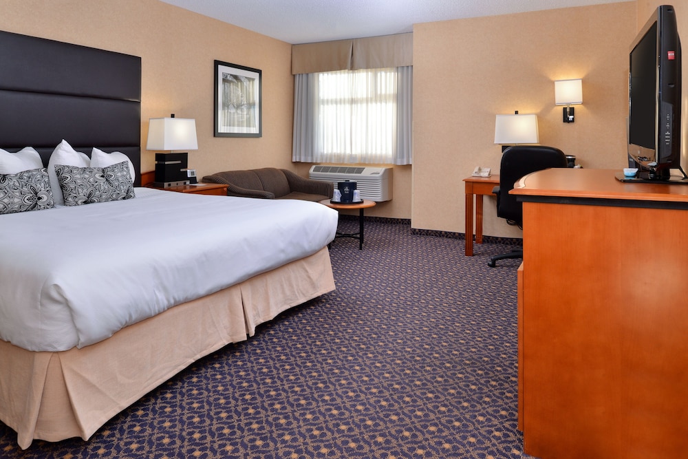 Standard Room, 1 King Bed, Non Smoking, Refrigerator & Microwave (with Single Sofabed) - Photo 1