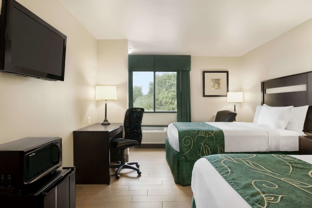 Room, 2 Double Beds, Accessible, Non Smoking photo 3