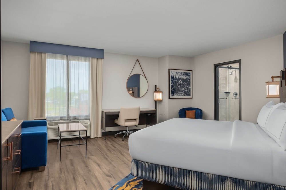 Room, 1 King Bed, Accessible (Roll-In Shower) - Photo 4