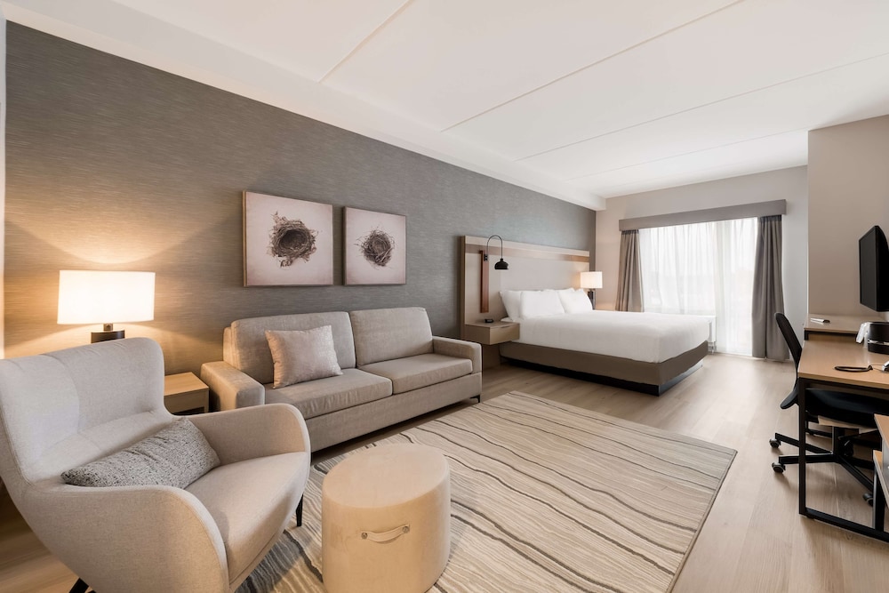 Suite, 1 King Bed, Accessible, Refrigerator & Microwave (with Sofabed) - Photo 1
