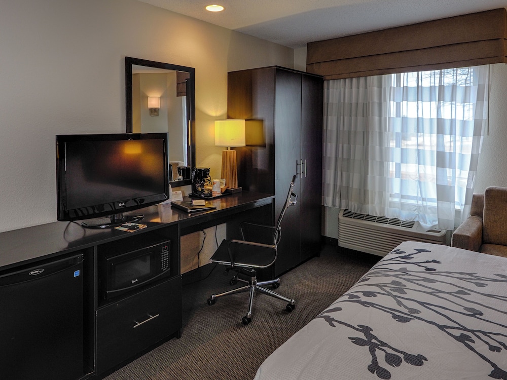 Suite, 1 King Bed with Sofa bed, Non Smoking - Photo 3