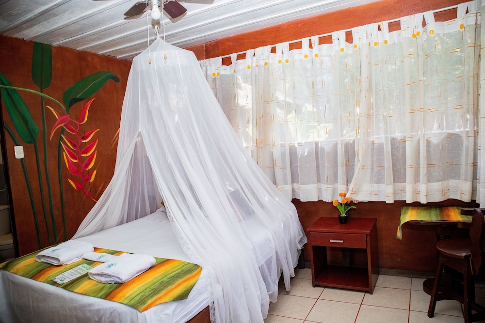 Single Room, Garden View photo 3