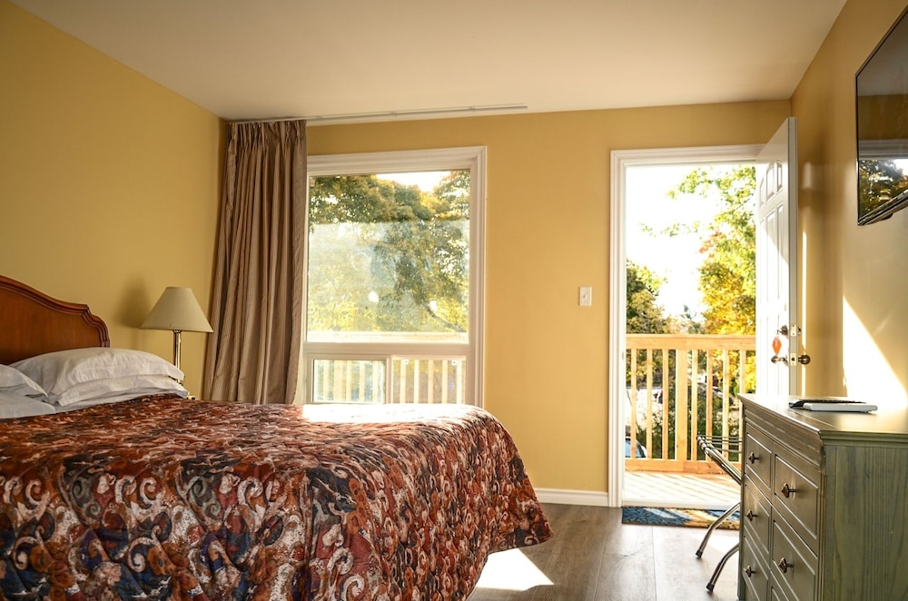 Room, 1 King Bed photo 1