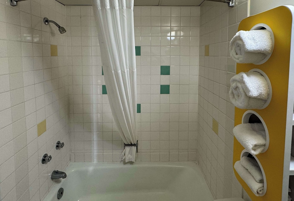 Deluxe Suite, 1 King Bed, Non Smoking, Refrigerator & Microwave - Photo 6