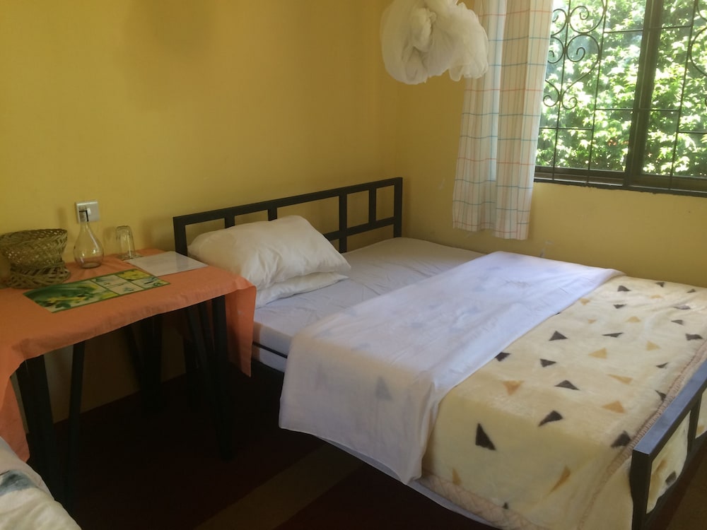 Room (Ovacado)