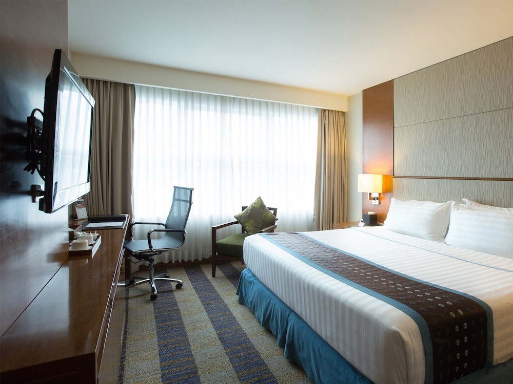 Deluxe Double Room, 1 King Bed photo 2