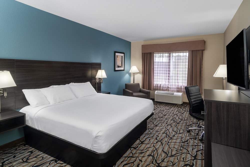 Room, 1 King Bed, Accessible, Non Smoking - Photo 1