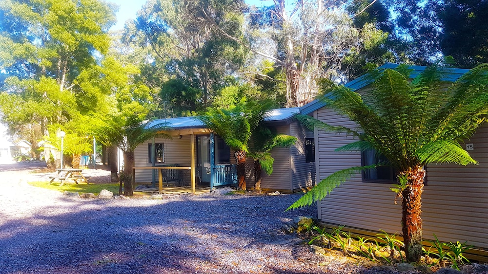 Standard Cabin Max 4 photo 3