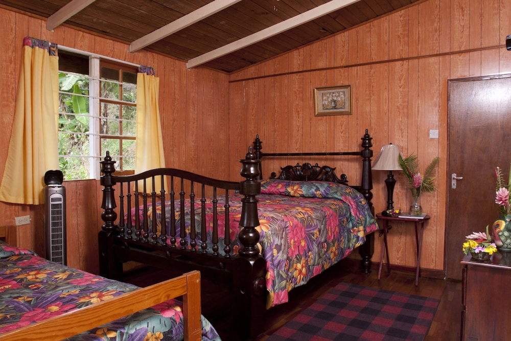 Standard Room, Balcony, Mountain View photo 2