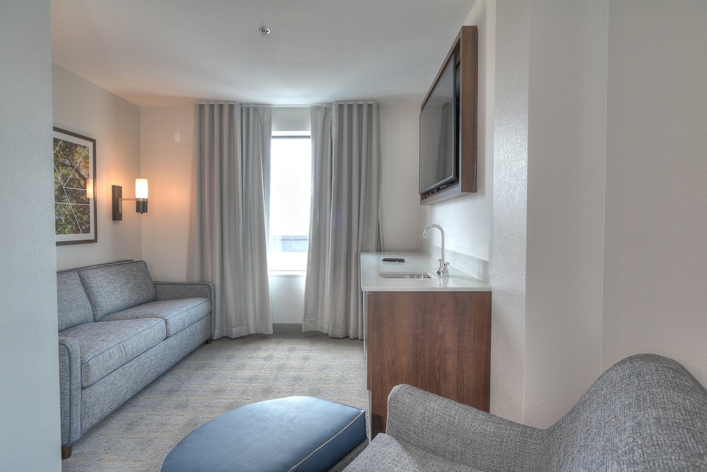 Suite, 1 Bedroom, Fireplace - Photo 2
