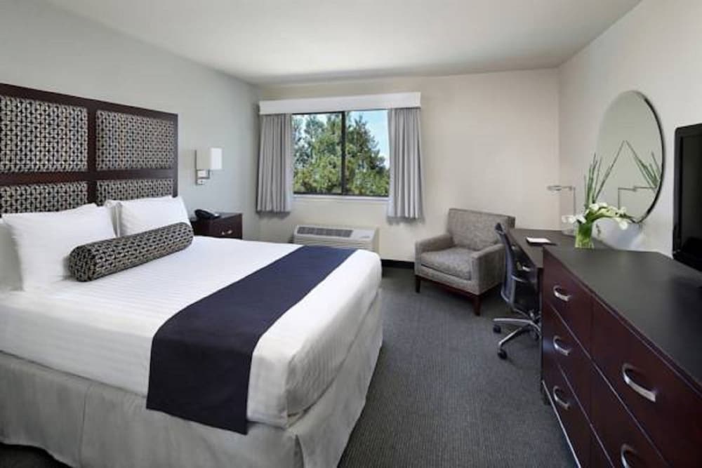 Deluxe Room, 1 Queen Bed - Photo 6