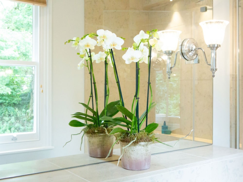 Superior Double Room, Ensuite photo 2