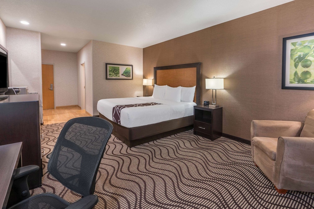 Room, 1 King Bed, Non Smoking - Photo 1