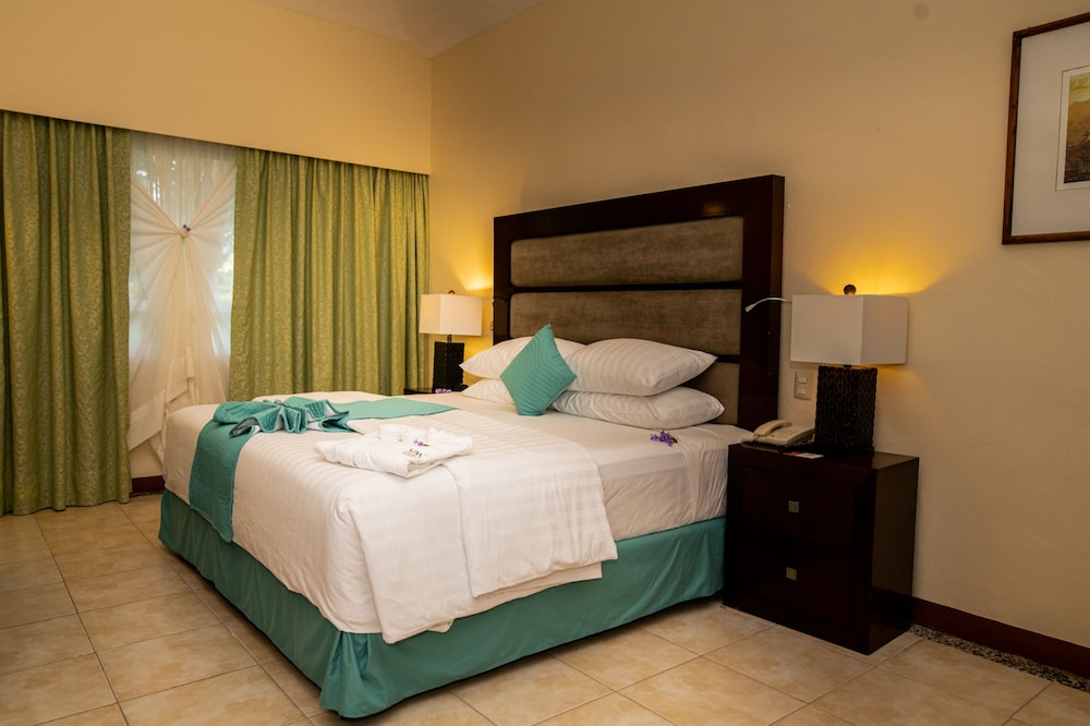 Suite - Photo 1
