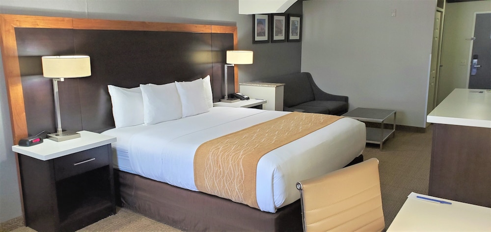 Suite, 1 King Bed with Sofa bed, Non Smoking