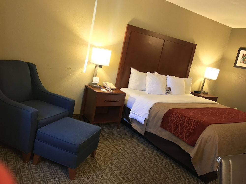 Standard Room, 1 King Bed, Non Smoking - Photo 8